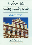 وادي حضرموت هندسة العمارة الطينية